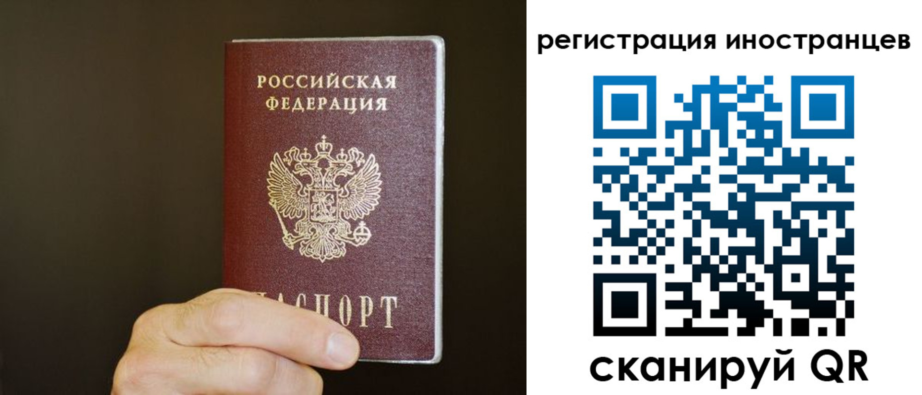 прописка в Ярцево